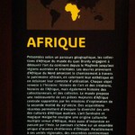 Visite de l'Afrique au musée du Quai Branly Image 2