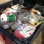 Gestion des déchets du chantier &quot;vert&quot; et visite du chantier ... Image 9