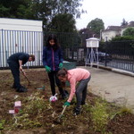 Séance jardinage au Raincy ! Image 1