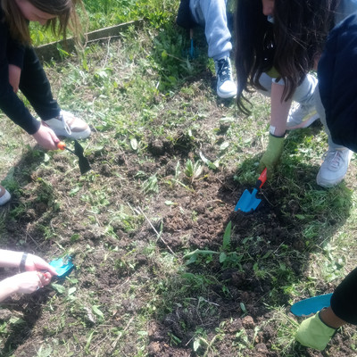 Troisième séance au jardin Image 1