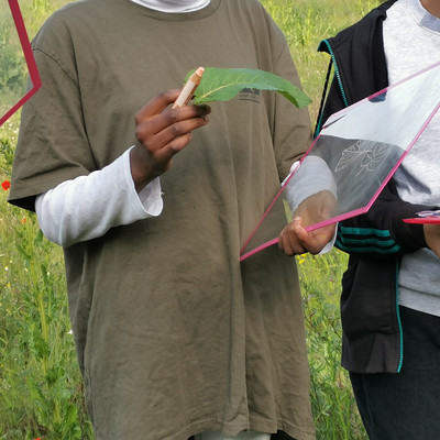 Sensibilisation à la biodiversité Image 1