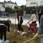 Club Solidarité et Citoyenneté : Le jardin Image 6